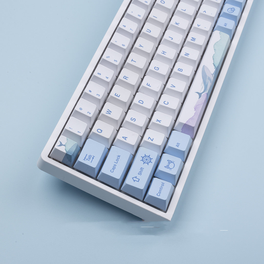 PBT Five-Sided Sublimation Keycaps – Originele hoogte