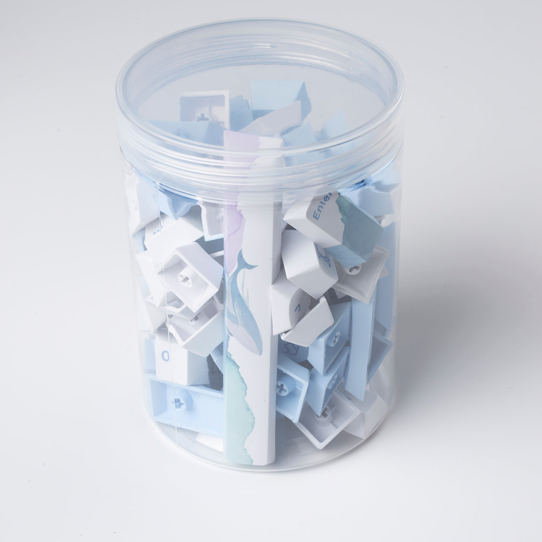PBT Five-Sided Sublimation Keycaps – Originele hoogte
