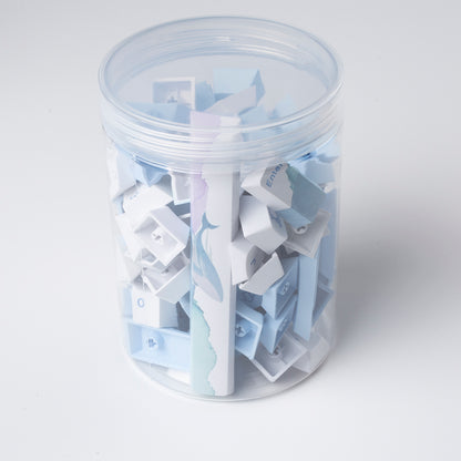 PBT Five-Sided Sublimation Keycaps – Originele hoogte