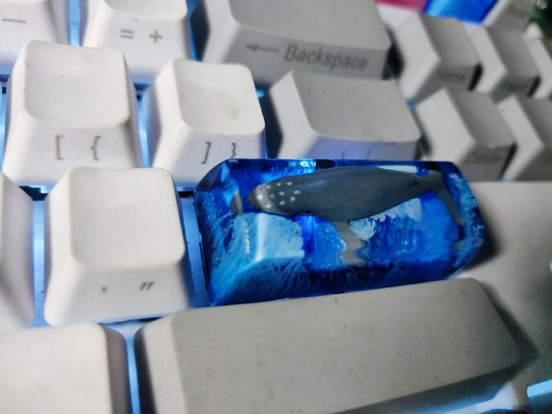 Scenery Koi Resin Keycap – Backspace/Spacebar – Cherry MX
