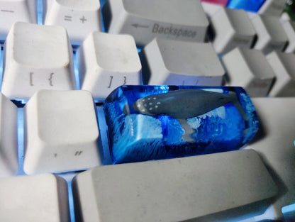 Scenery Koi Resin Keycap – Backspace/Spacebar – Cherry MX